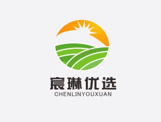 胡紅志的宸琳優(yōu)選logo設計